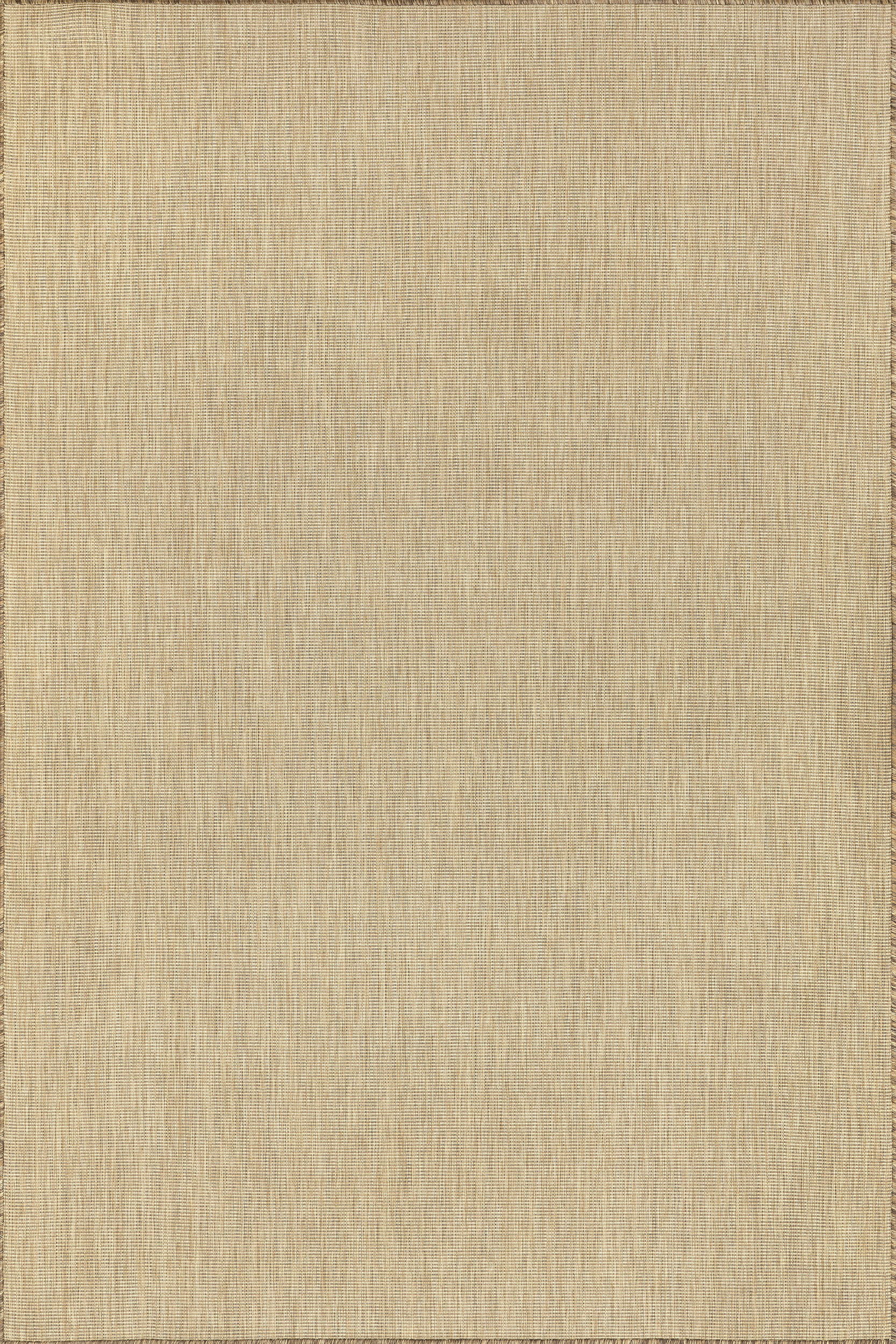 Dorinda Hazy Solid Indoor/Outdoor Rug | Brown